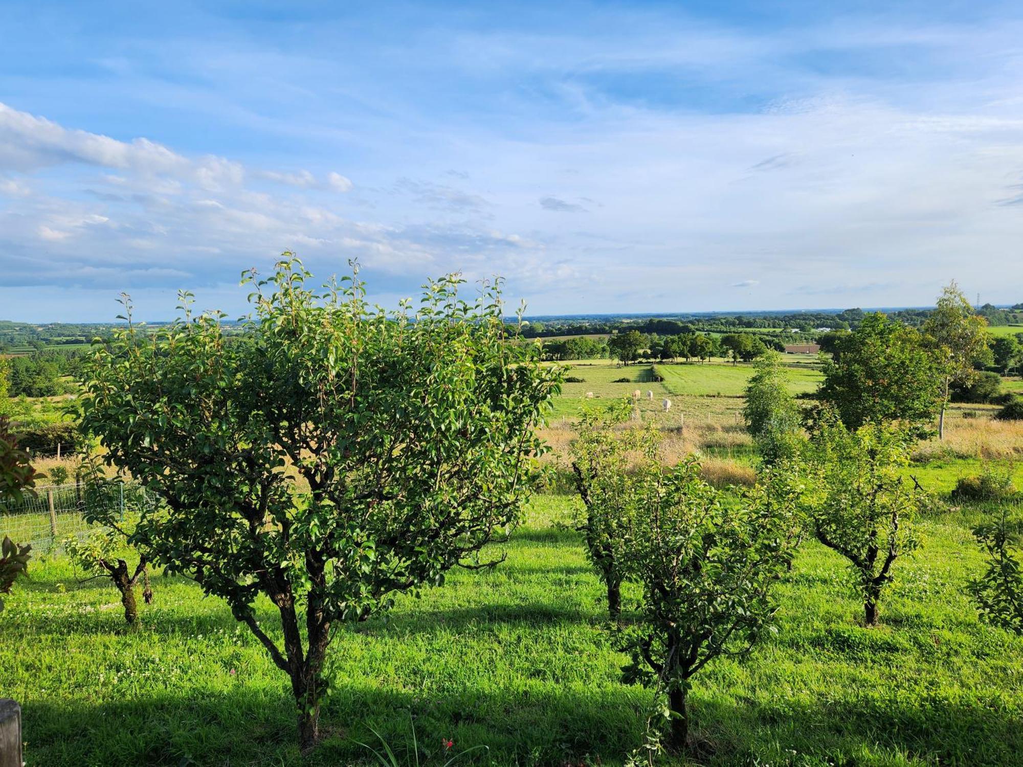 Les Chambres De La Forge Des Collines Les Herbiers Luaran gambar